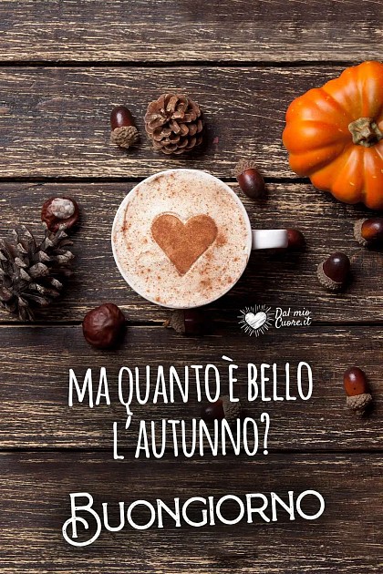 Ma quanto è bello l'autunno? Buongiorno