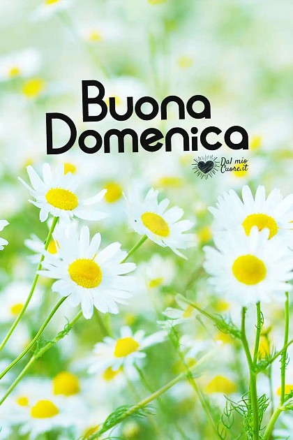 Buona Domenica