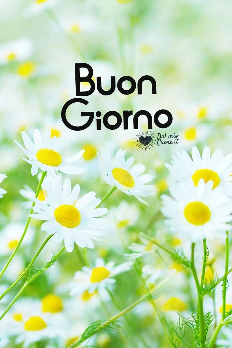 Buon Giorno