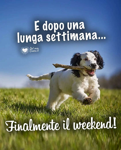 E dopo una lunga settimana... finalmente il weekend