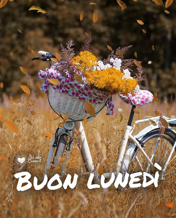 Buon lunedì
