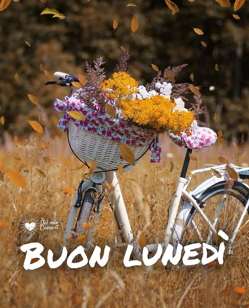 Buon lunedì