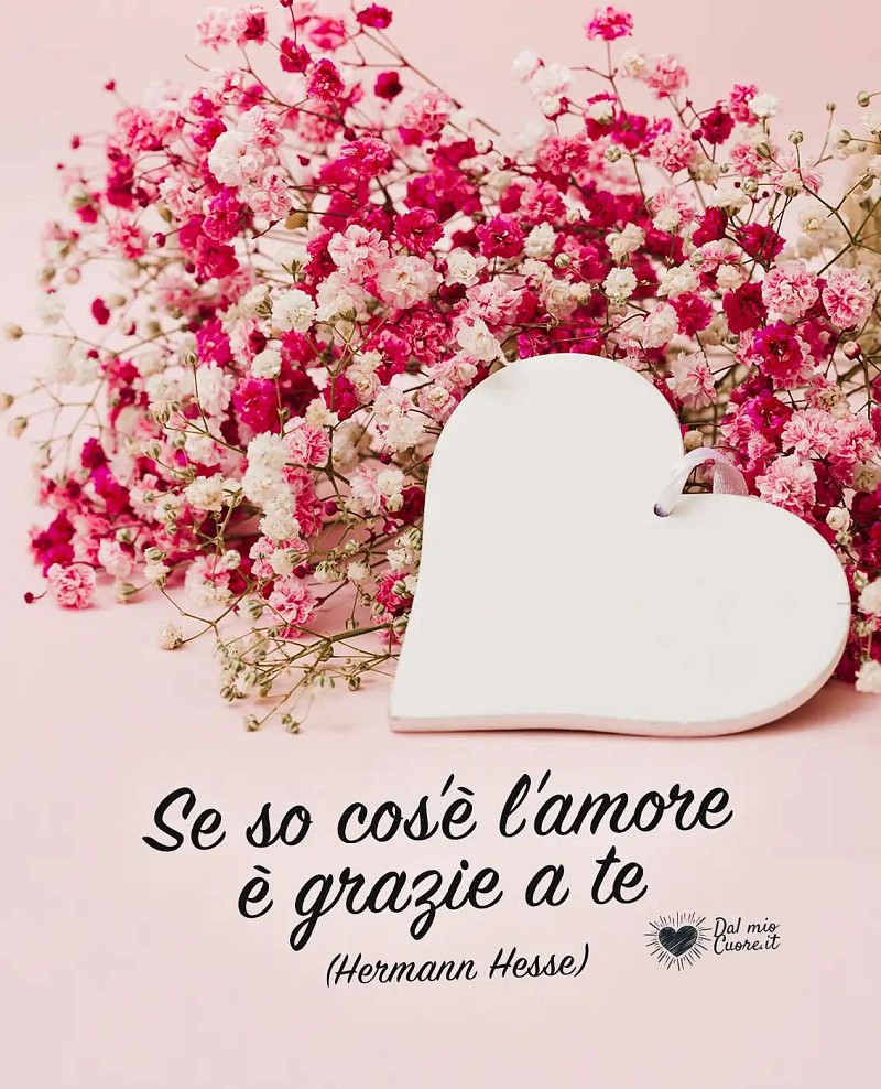 "Se so cos'è l'amore è grazie a te"