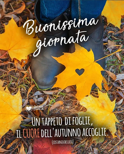 Un tappeto di foglie, il CUORE dell'autunno accoglie. Buonissima giornata