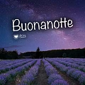 Buonanotte
