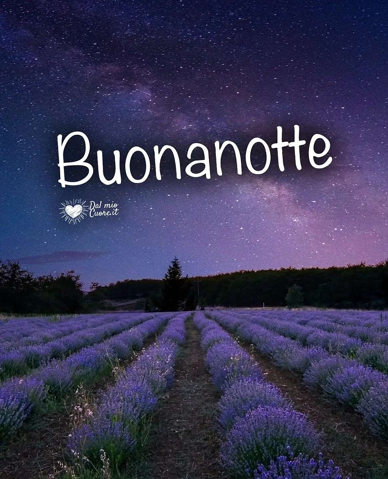 Buonanotte