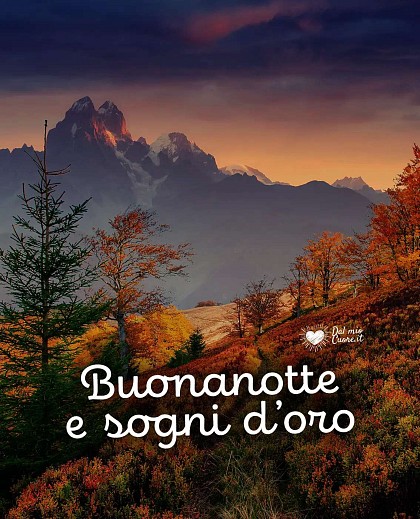 Buonanotte e sogni d'oro
