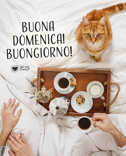 Buona domenica! Buongiorno!