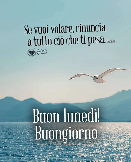 Se vuoi volare, rinuncia a tutto ciò che ti pesa. Buon lunedì! Buongiorno