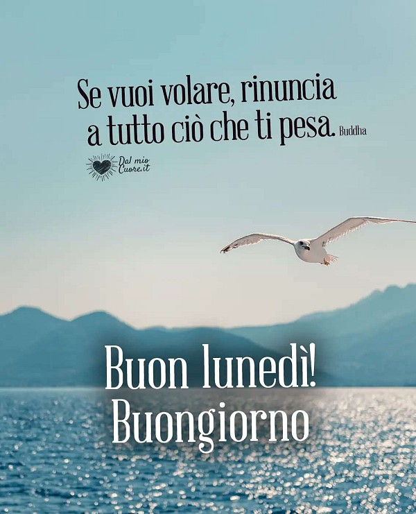 Se vuoi volare, rinuncia a tutto ciò che ti pesa. Buon lunedì! Buongiorno