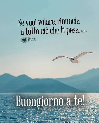 Se vuoi volare, rinuncia a tutto ciò che ti pesa. Buongiorno a te!