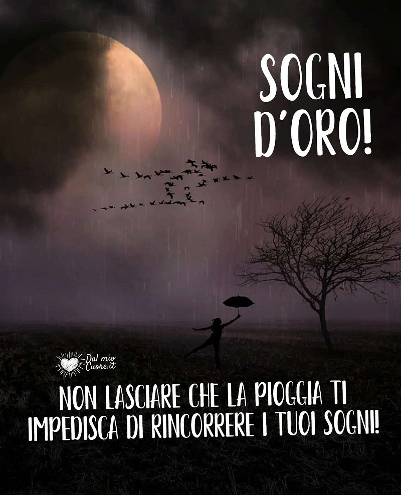 Non lasciare che la pioggia ti impedisca di rincorrere i tuoi sogni! Sogni d'oro