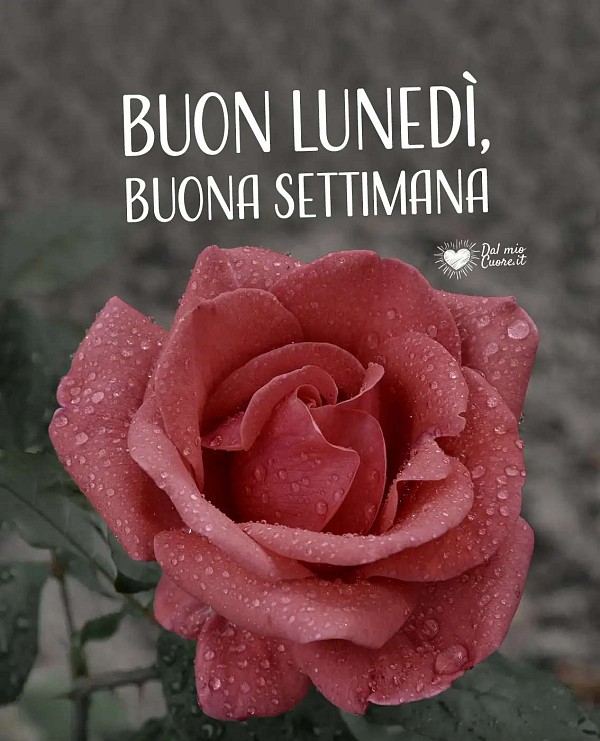 Buon lunedì, buona settimana