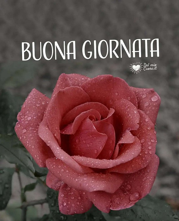 Buona giornata (di pioggia)