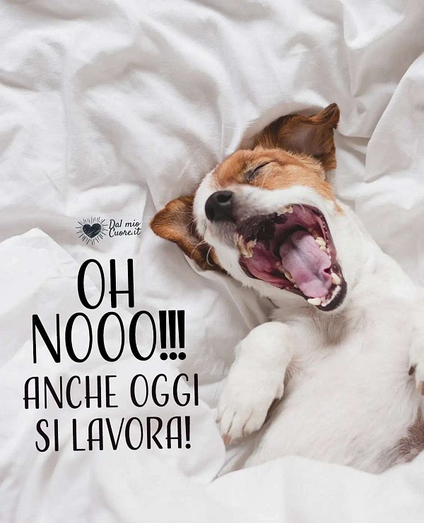 Oh nooo! Anche oggi si lavora!