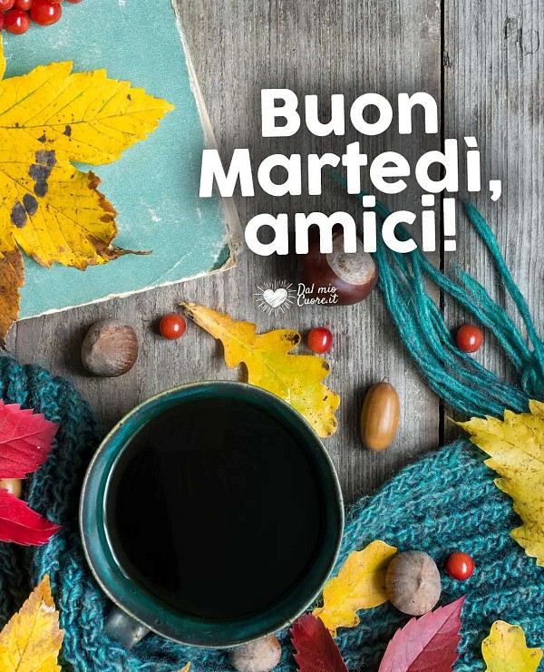 Buon martedì, amici!