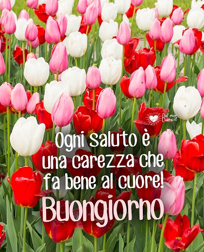 Ogni saluto è una carezza che fa bene al cuore! Buongiorno