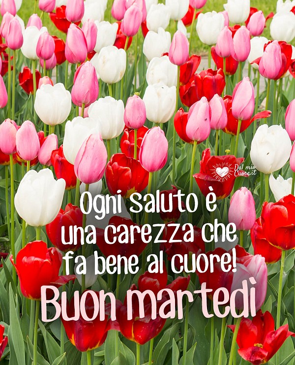 Ogni saluto è una carezza che fa bene al cuore! Buongiorno