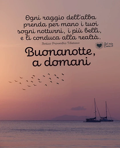 Buonanotte Poetica: Ogni raggio dell'alba prenda per mano i tuoi sogni