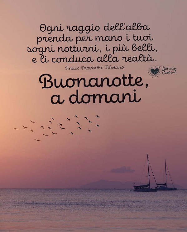 Ogni raggio dell'alba prenda per mano i tuoi sogni notturni, i più belli, e li conduca alla realtà. Buonanotte, a domani