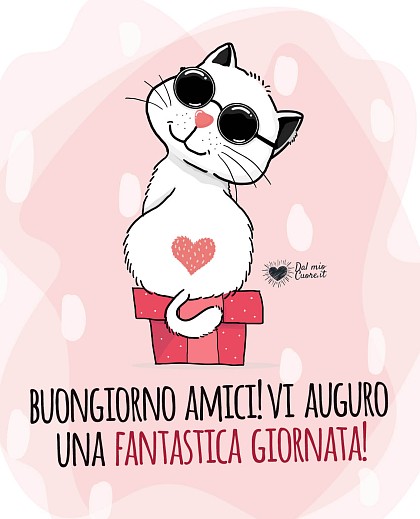 Buongiorno amici! Vi auguro una fantastica giornata!