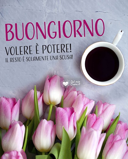 Buongiorno! Volere è potere! il resto è solamente una scusa!