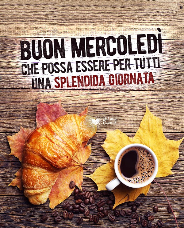 Buon mercoledì. Che possa essere per tutti una splendida giornata
