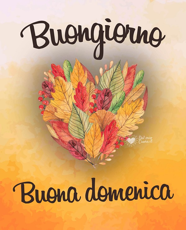 Buongiorno. Buona domenica