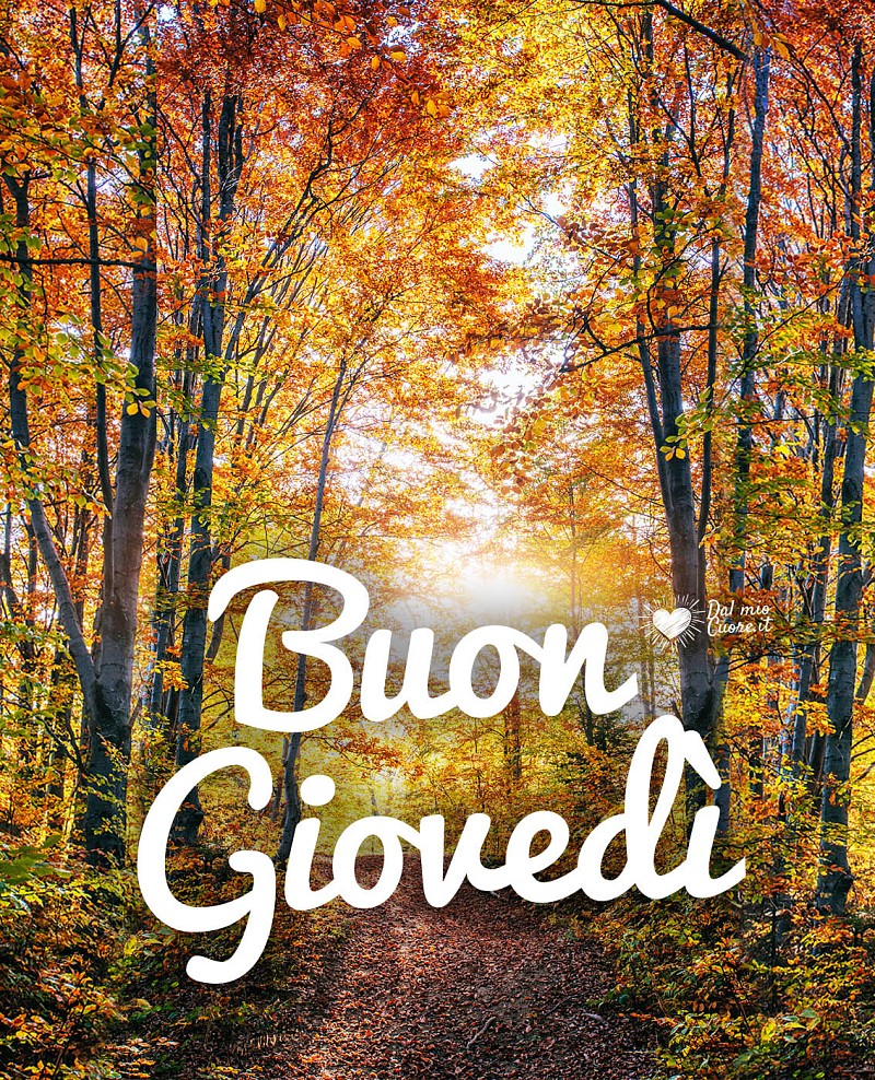 Buon giovedì autunnale