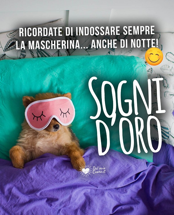 Ricordate di indossare la mascherina... anche di notte! Sogni d'oro