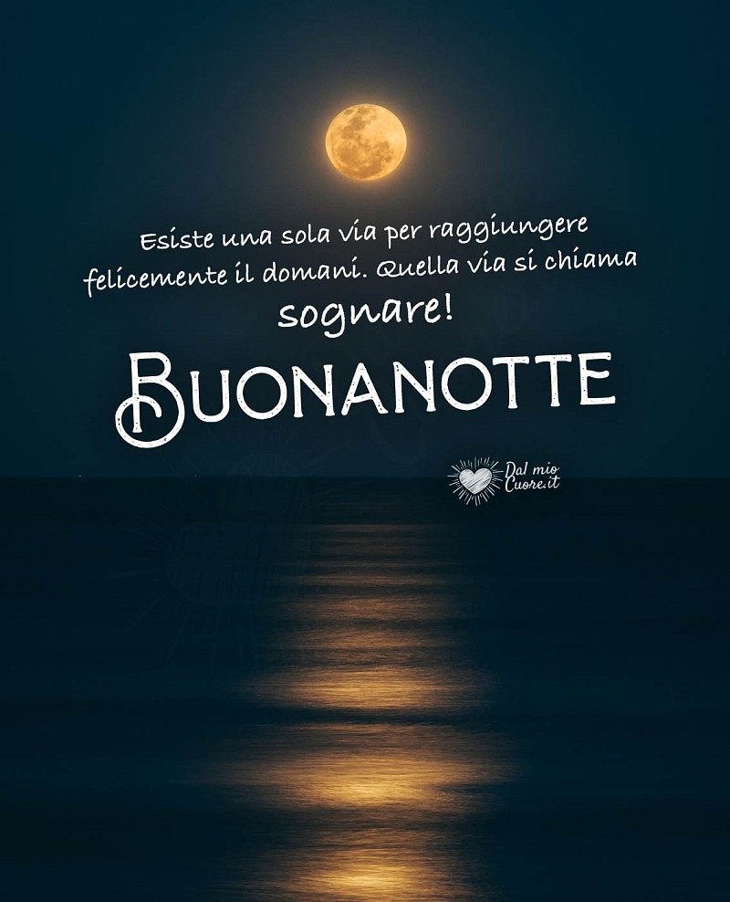 Esiste una sola via per raggiungere felicemente il domani. Quella via si chiama sognare! Buonanotte