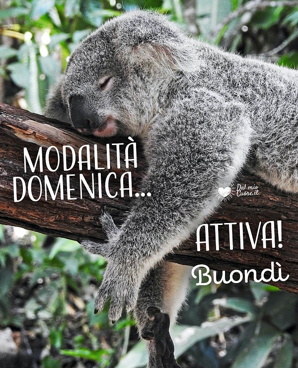 Modalità domenica... attiva! Buondì