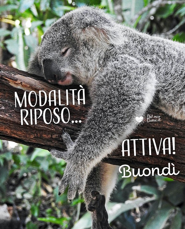 Modalità riposo... attiva! Buondì