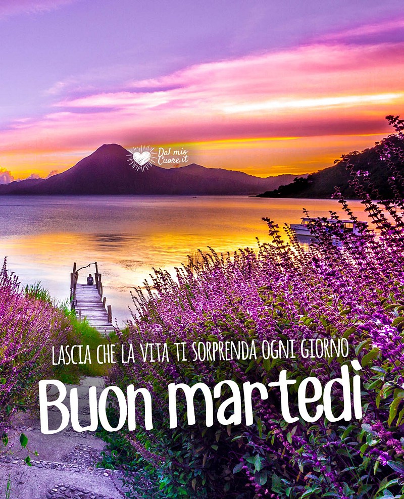 Lascia che la vita ti sorprenda ogni giorno. Buon Martedì