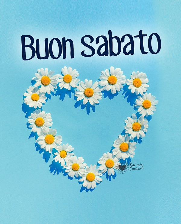 Buon sabato con un cuore di fiori di camomilla