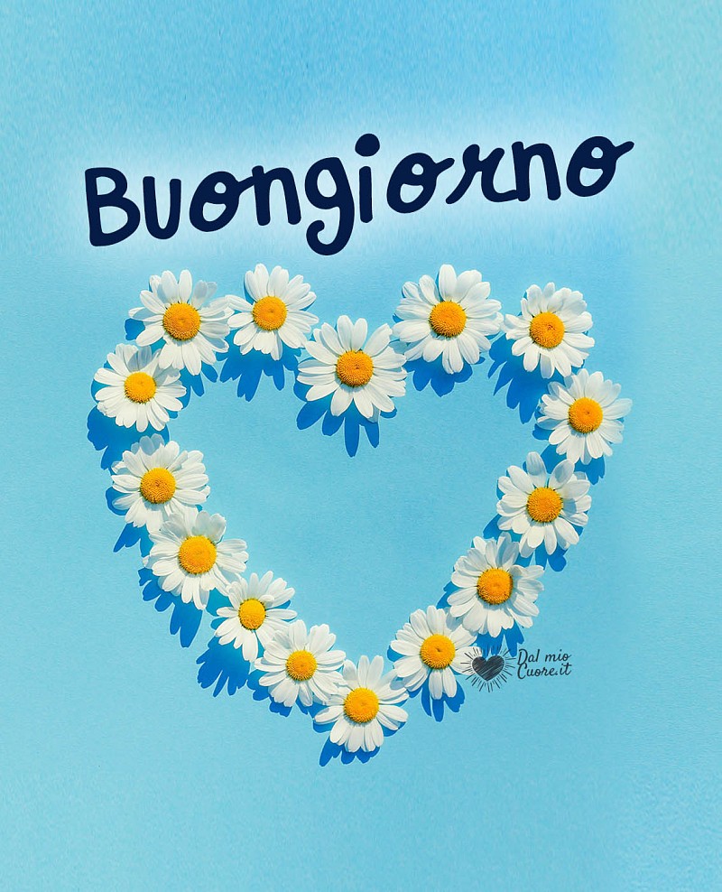 Buongiorno con un cuore di fiori di camomilla