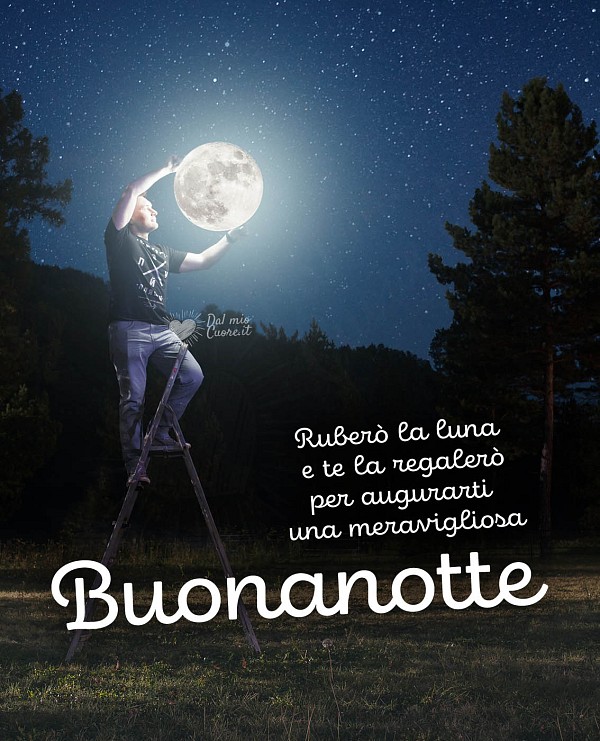 Ruberò la luna e te la regalerò per augurarti una meravigliosa Buonanotte