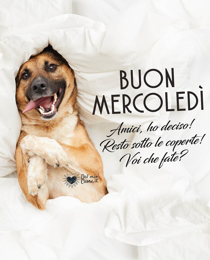 Amici, ho deciso! Resto sotto le coperte! Voi che fate? Buon Mercoledi