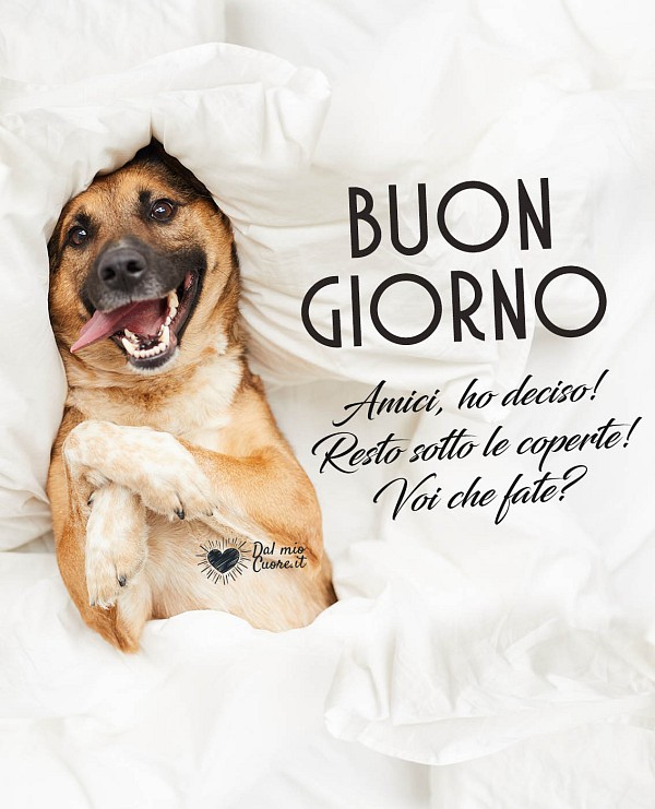 Amici, ho deciso! Resto sotto le coperte! Voi che fate? Buon giorno