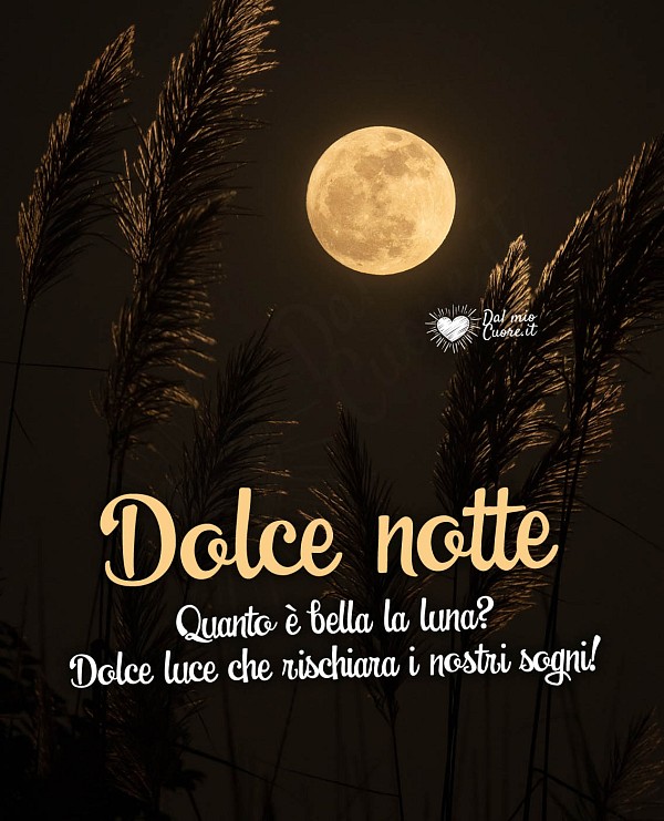 Quanto è bella la luna? Dolce luce che rischiara i nostri sogni! Dolce notte