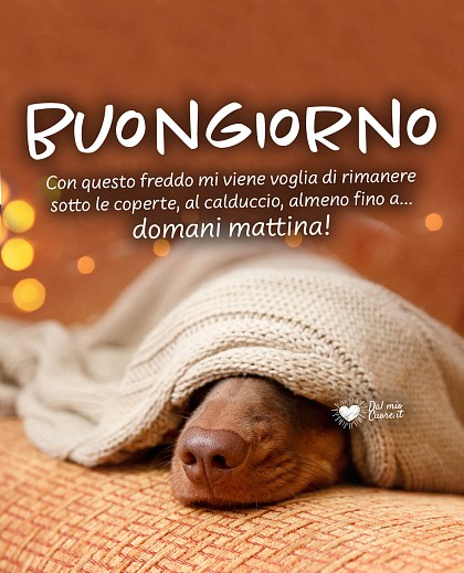 Con questo freddo mi viene voglia di rimanere sotto le coperte, al calduccio, almeno fino a...  domani! Buongiorno