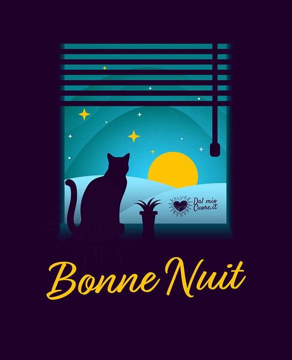 Bonne nuit