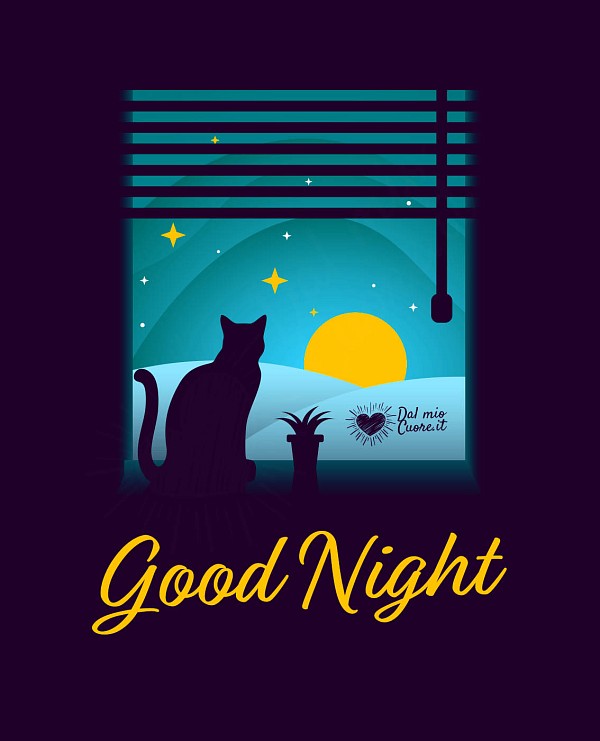 Good Night