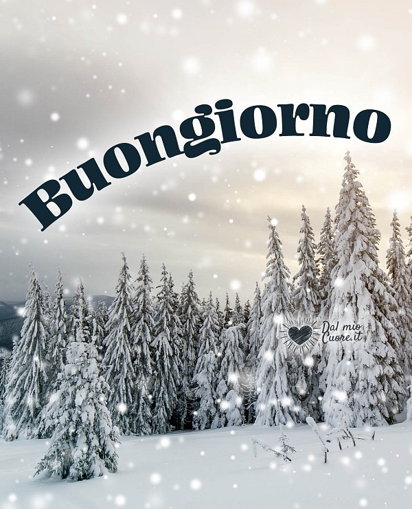 Buongiorno nevoso e invernale