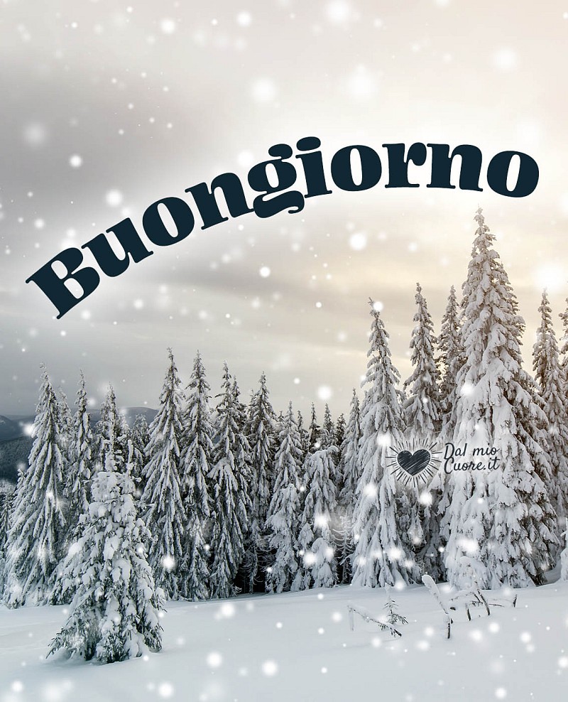 Buongiorno nevoso e invernale