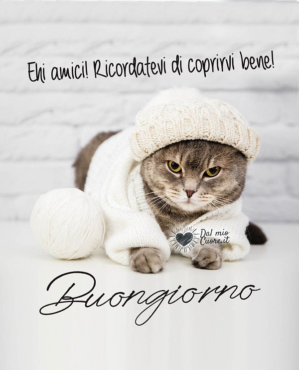 Ehi amici! Ricordatevi di coprirvi bene! Buongiorno