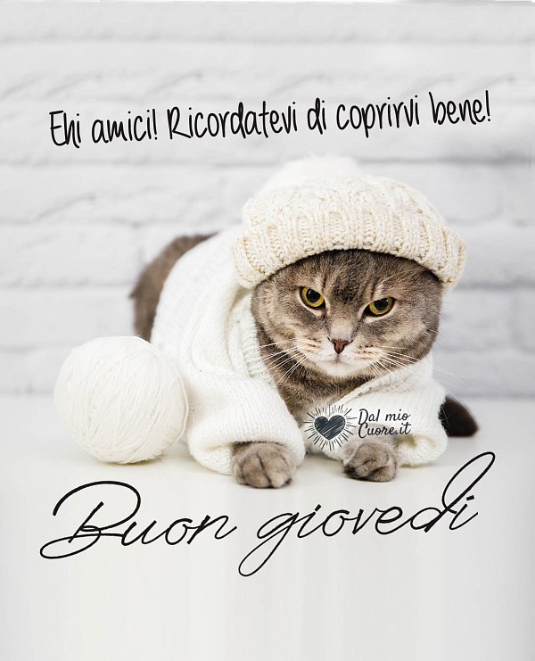 Ehi amici! Ricordatevi di coprirvi bene! Buon giovedì