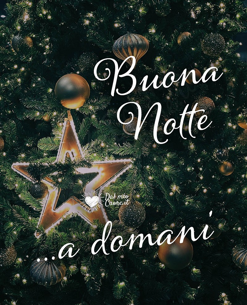Buonanotte ...a domani (con albero di Natale)