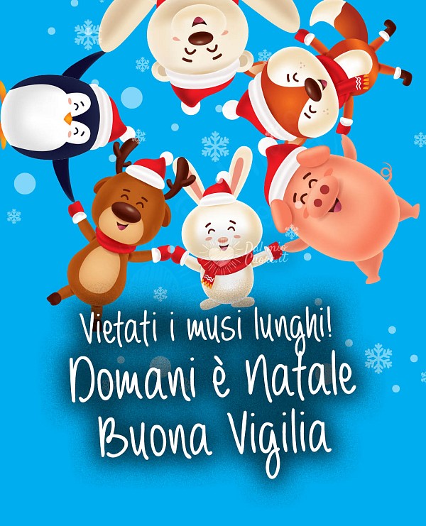 Vietati i musi lunghi! Domani è Natale. Buona Vigilia