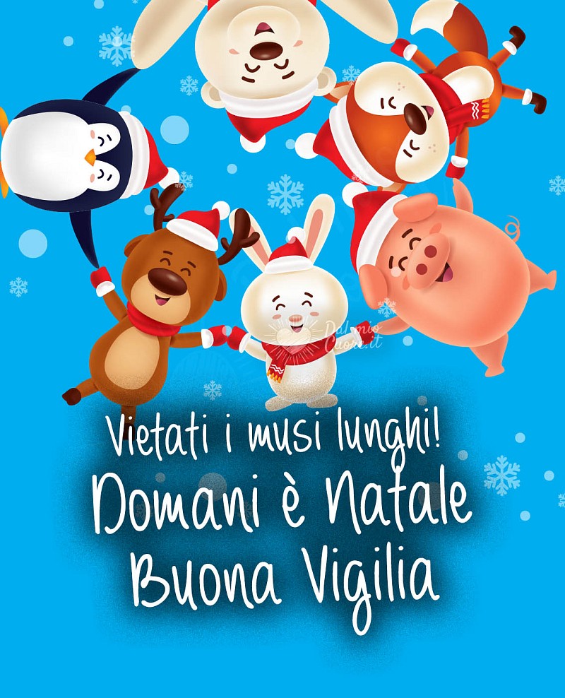 Vietati i musi lunghi! Domani è Natale. Buona Vigilia